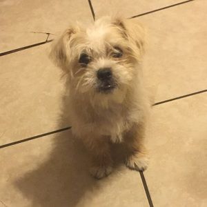 Meet your Posher, Fatima